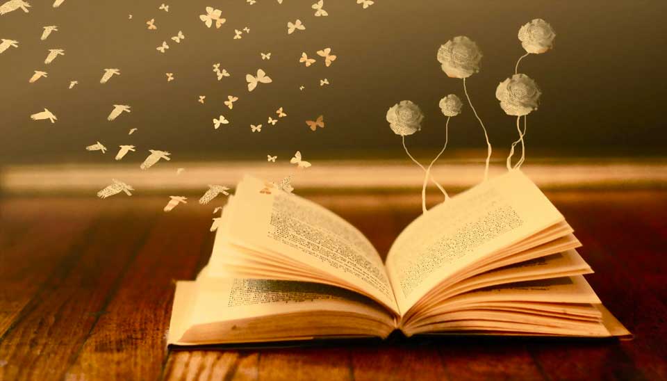 A World of Words: How Reading Transformed My Life