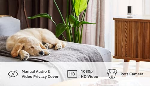 Ring Indoor Camera (2nd Gen) | Plug-In Pet Security Camera | 1080p HD, Two-Way Talk, Wifi, Privacy Cover, DIY | alternative to CCTV system | 30-day free trial of Ring Home - DeKove