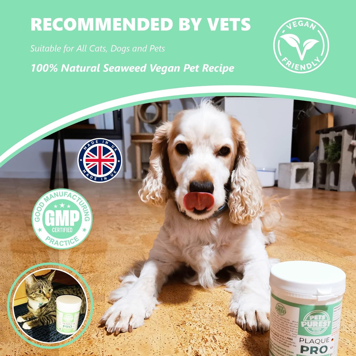 Pets Purest Plaque Off Powder - 185g Plaque Pro Tartar & Plaque Remover for Dogs, Cats & Pet. 100% Natural Bad Breath, Teeth & Gum Disease Oral Health Hygiene Dental Care Formula - DeKove