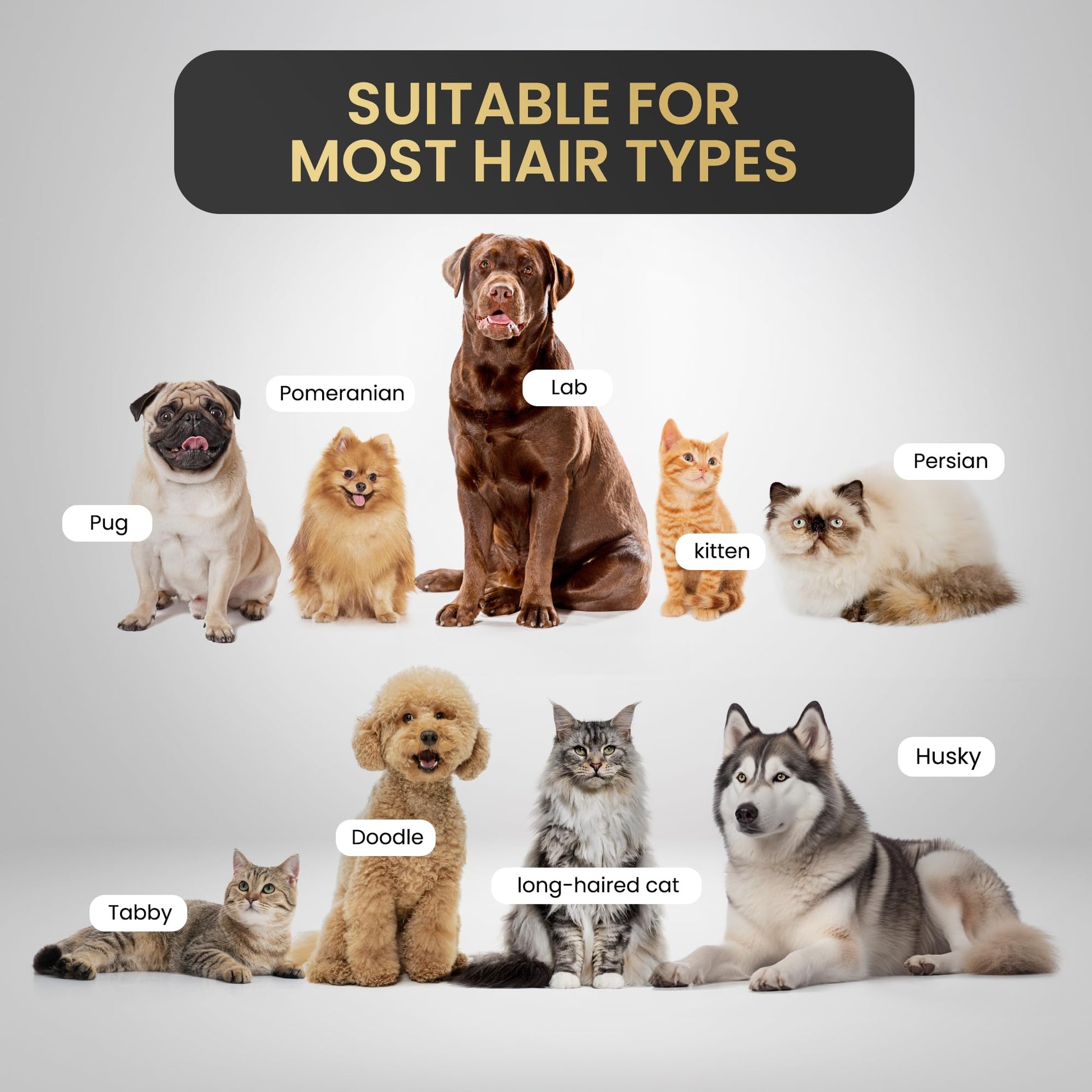 Pet Grooming Comb for Dogs and Cats - Detangling, Dematting, and Massaging with Self-Cleaning Button - Pet Care, New Puppy Gift, New Kitten Gift, Pet Grooming, Luxury Pet Care, Undercoat Rake - DeKove