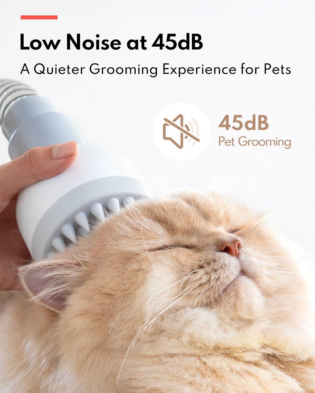 HomeRunPet Ultra Quiet Pet Vacuum, Suction 99% pet Hair, 6 Tool Grooming Kit, Anti Shedding, 1.85L Dust Cup, Home Grooming & Cleaning for Dogs, Cats, Others - DeKove