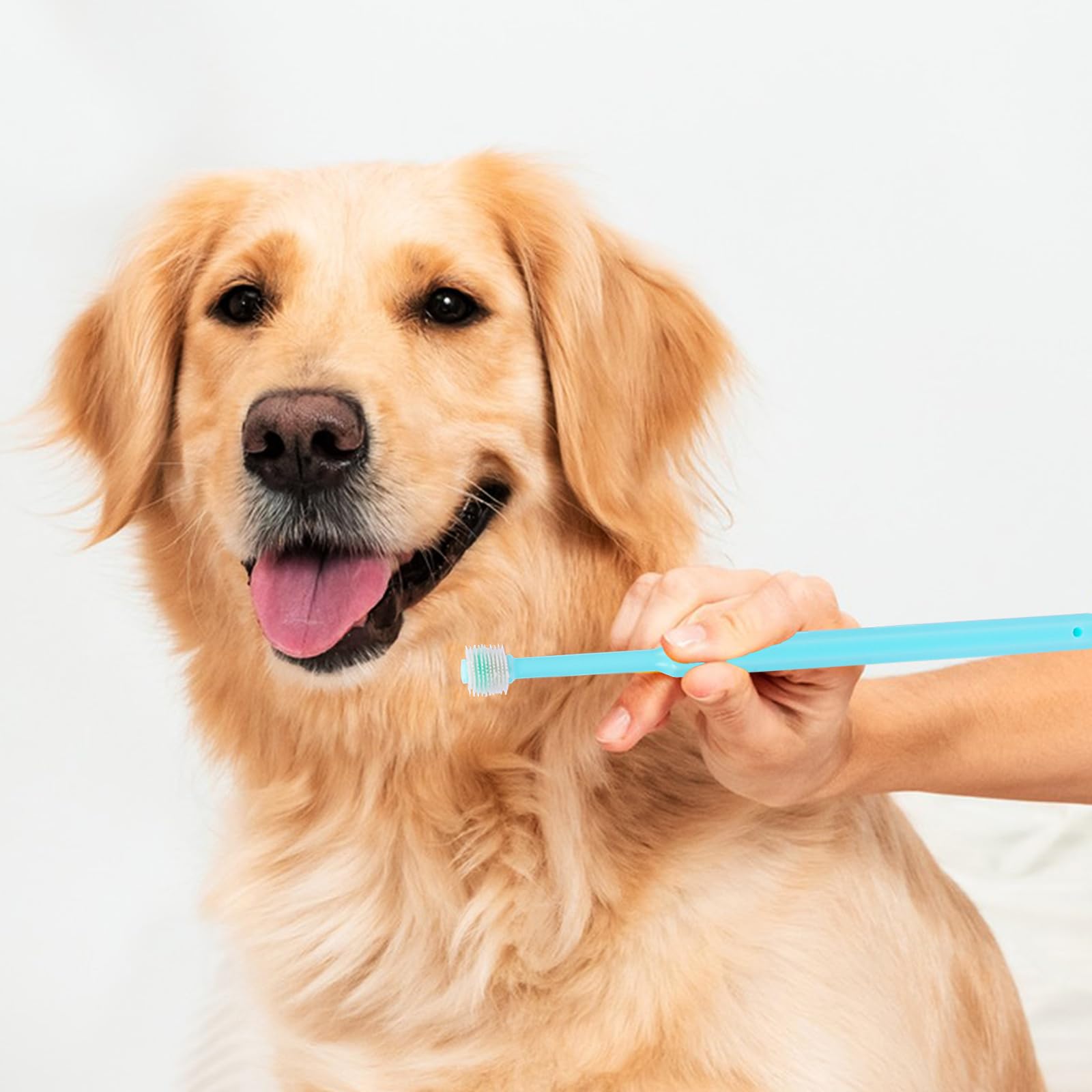 2 Pack Small Dog & Cat Toothbrush,360 Degree Soft Silicone Pet Toothbrush Cat Dental Care Dog Oral Hygiene Deep Clean Pet Teeth Cleaning Kit (Small Size) - DeKove