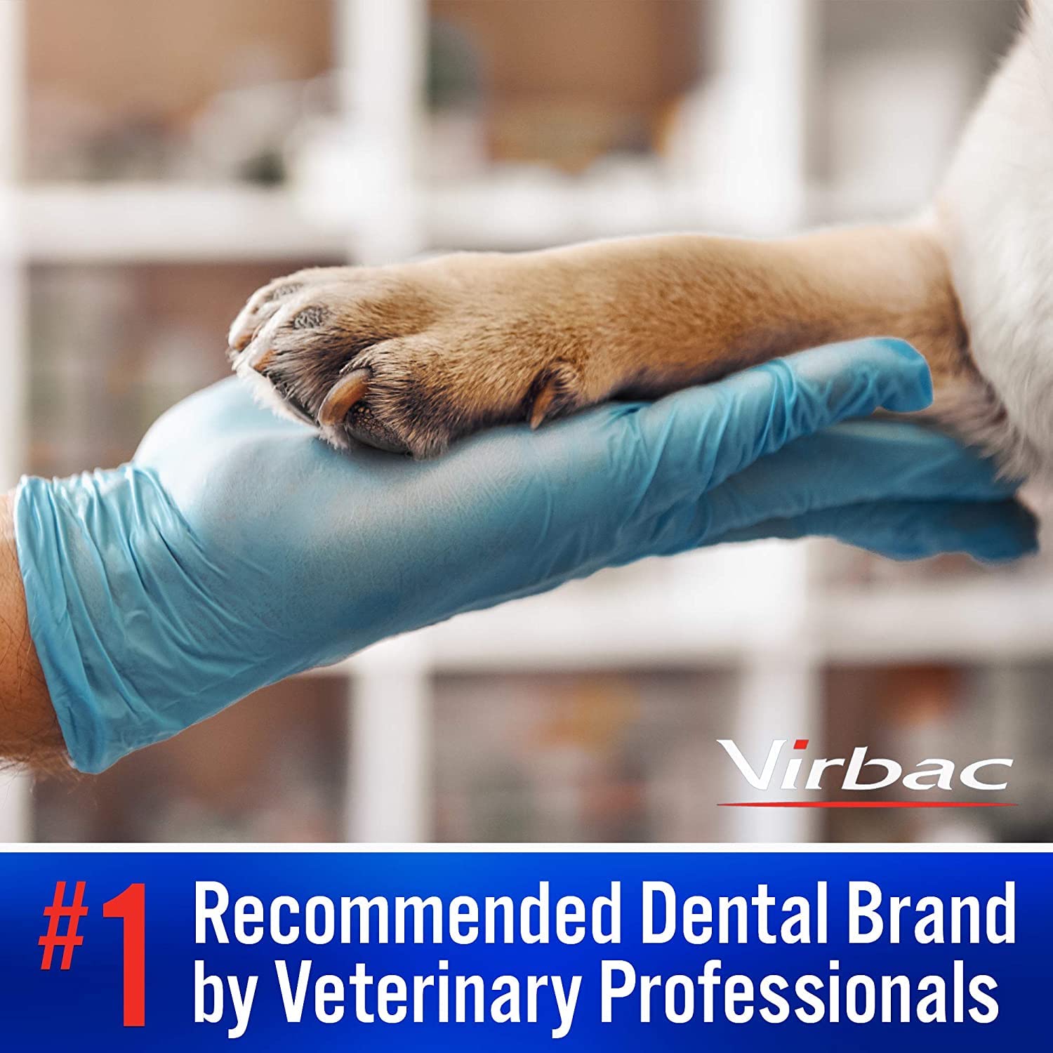 Virbac C.E.T. Toothpaste - Chicken Flavour - 70g - DeKove