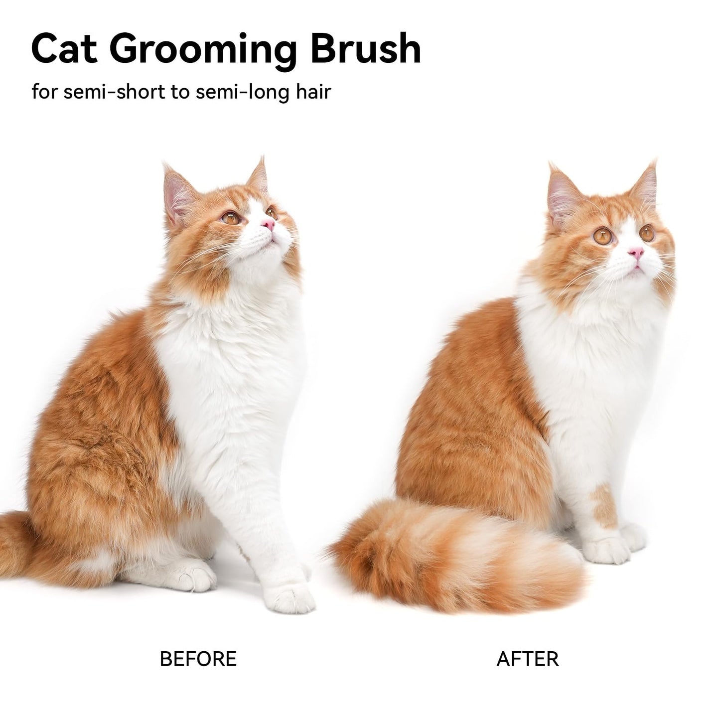 aumuca Cat Brush with Release Button, Cat Grooming Brush for Long or Short Haired Cats, Cat Hair Brush for Shedding Cat Comb for Pets Removing Loose Fur and Massage, White - DeKove