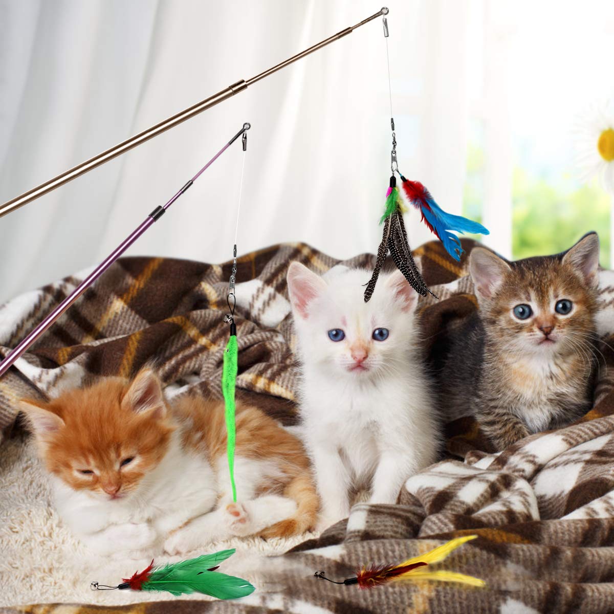 Bojafa Cat Toys for Indoor Cats Adult: Interactive Kitten Feather Wand Toys - 15Pcs Cat Teaser Toys - DeKove