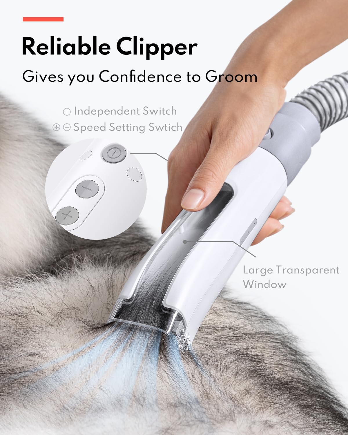 HomeRunPet Ultra Quiet Pet Vacuum, Suction 99% pet Hair, 6 Tool Grooming Kit, Anti Shedding, 1.85L Dust Cup, Home Grooming & Cleaning for Dogs, Cats, Others - DeKove