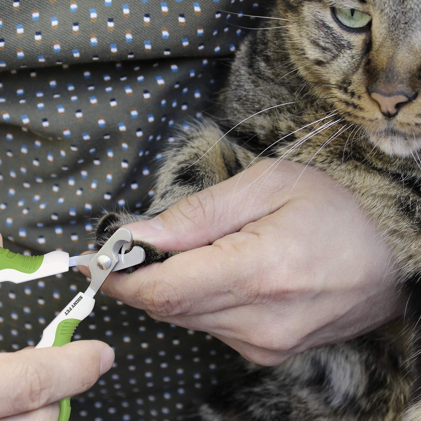 Pet Nail Clippers for Beginners and Groomers - Best Cat Nail Clippers & Claw Trimmer for Home Grooming Kit - Grooming Tool for Small Animals Tiny Dog Cat Bunny Rabbit Bird Puppy Kitten - Ebook Guide - DeKove