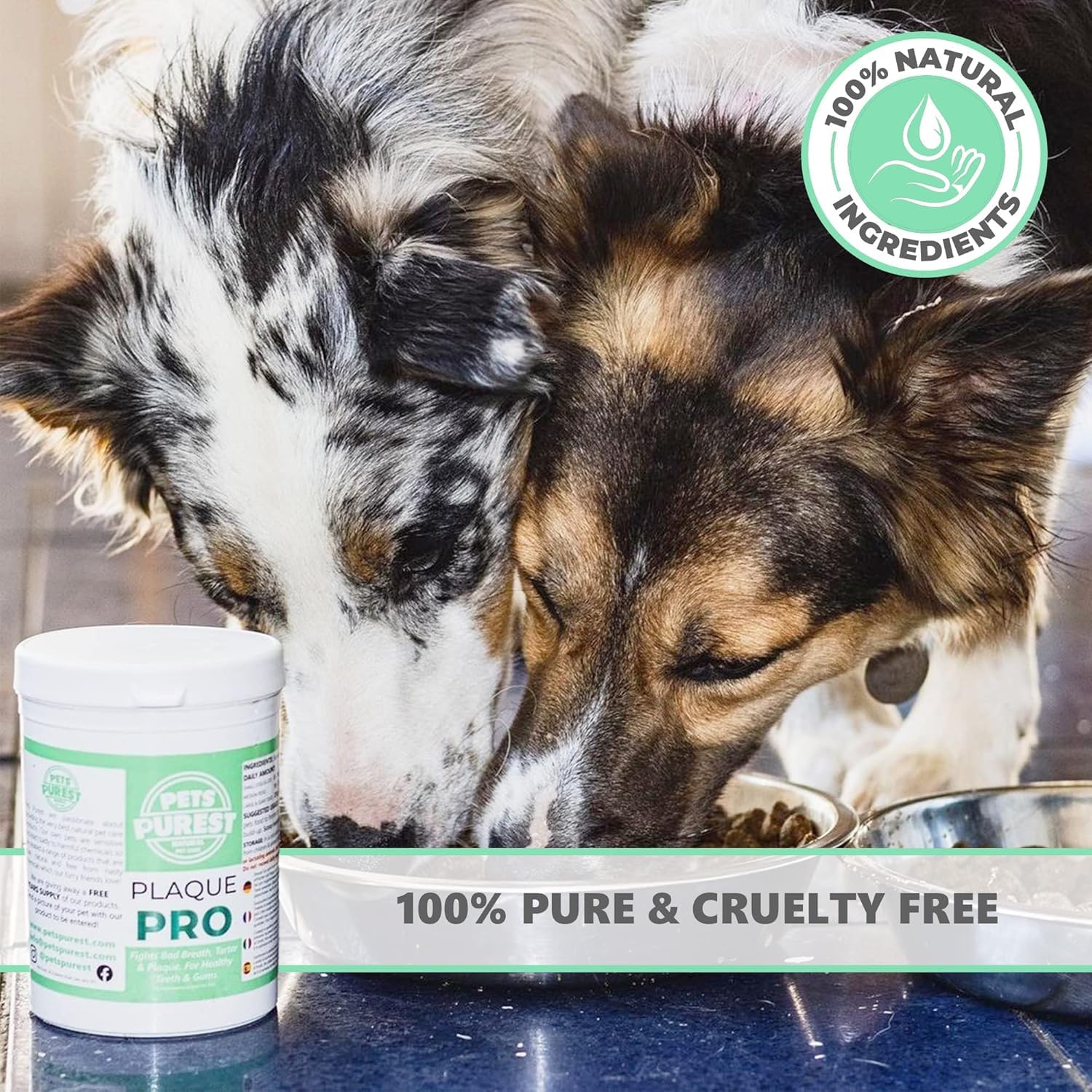 Pets Purest Plaque Off Powder - 185g Plaque Pro Tartar & Plaque Remover for Dogs, Cats & Pet. 100% Natural Bad Breath, Teeth & Gum Disease Oral Health Hygiene Dental Care Formula - DeKove