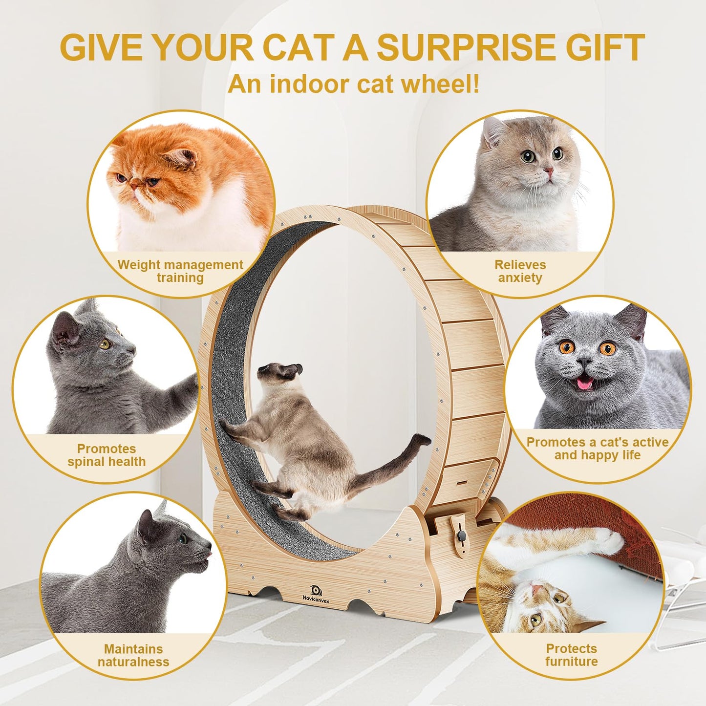 Naviconvex Cat Wheel Cat Exercise Wheel for indoor cats Daily Exercise with Nature Wood Colour The cat treadmill is the best gift for your cat's healthy growth - DeKove
