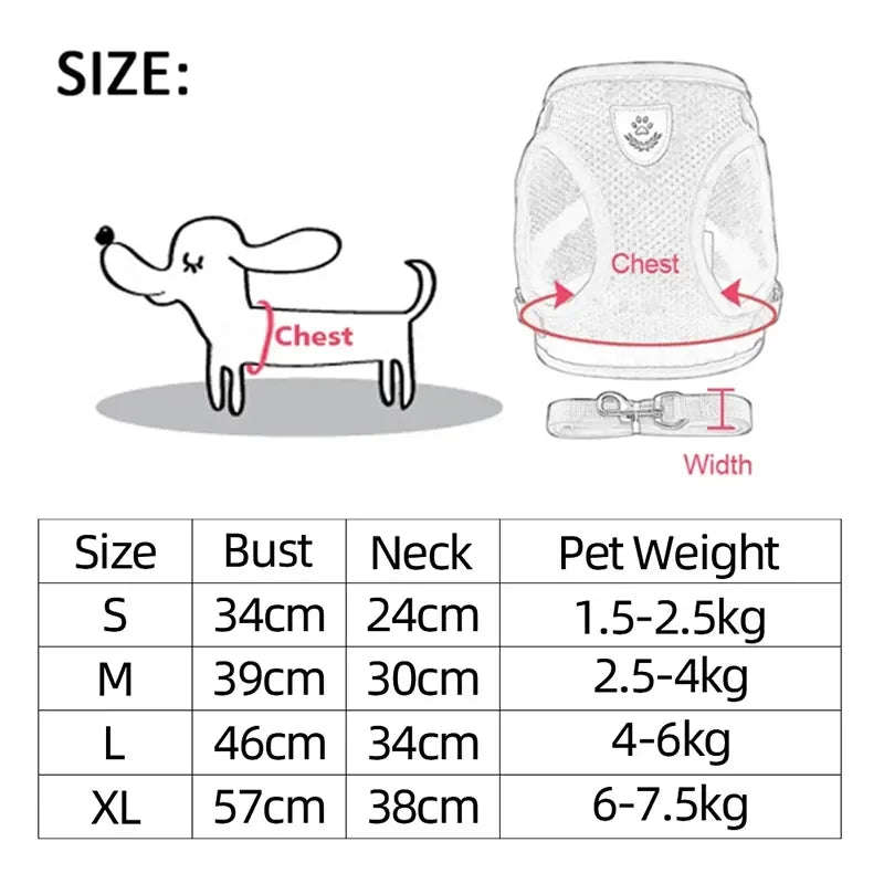 Fantastic Cat Harness with Adjustable Design - DeKove