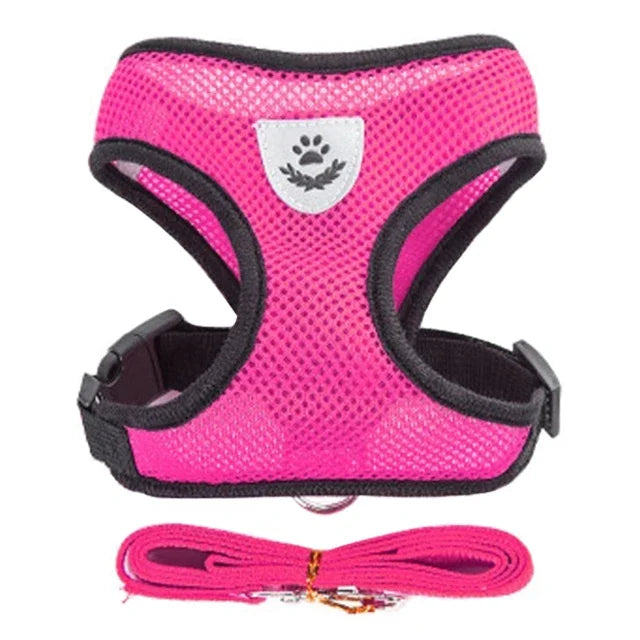 Fantastic Cat Harness with Adjustable Design - DeKove