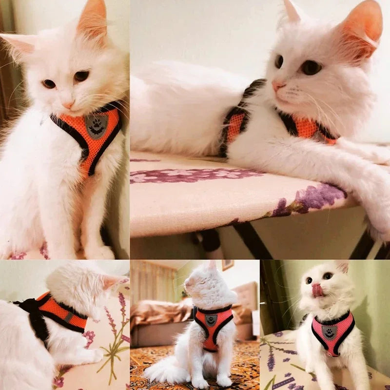 Fantastic Cat Harness with Adjustable Design - DeKove
