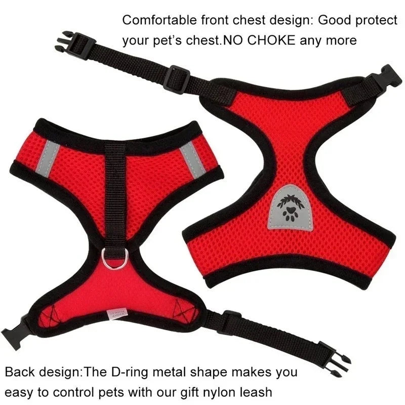 Fantastic Cat Harness with Adjustable Design - DeKove