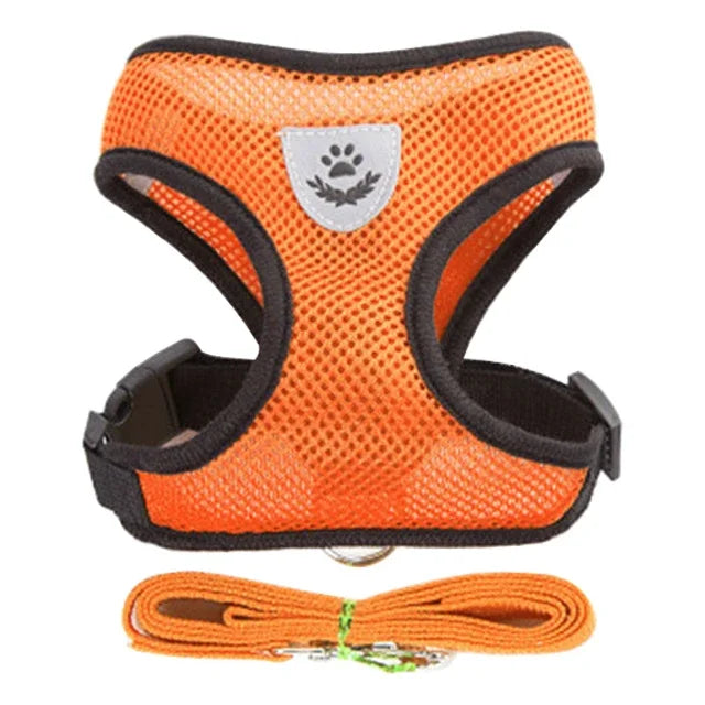 Fantastic Cat Harness with Adjustable Design - DeKove
