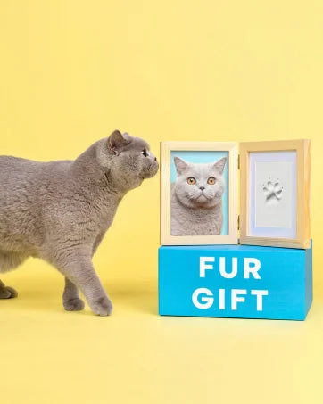 Paw Print Clean Touch Ink Pad, Dog Or Cat Pet Owner Keepsake, DIY Inkless Nose and Pawprint Impression Making Kit - DeKove