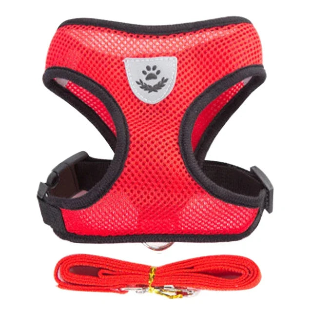 Fantastic Cat Harness with Adjustable Design - DeKove