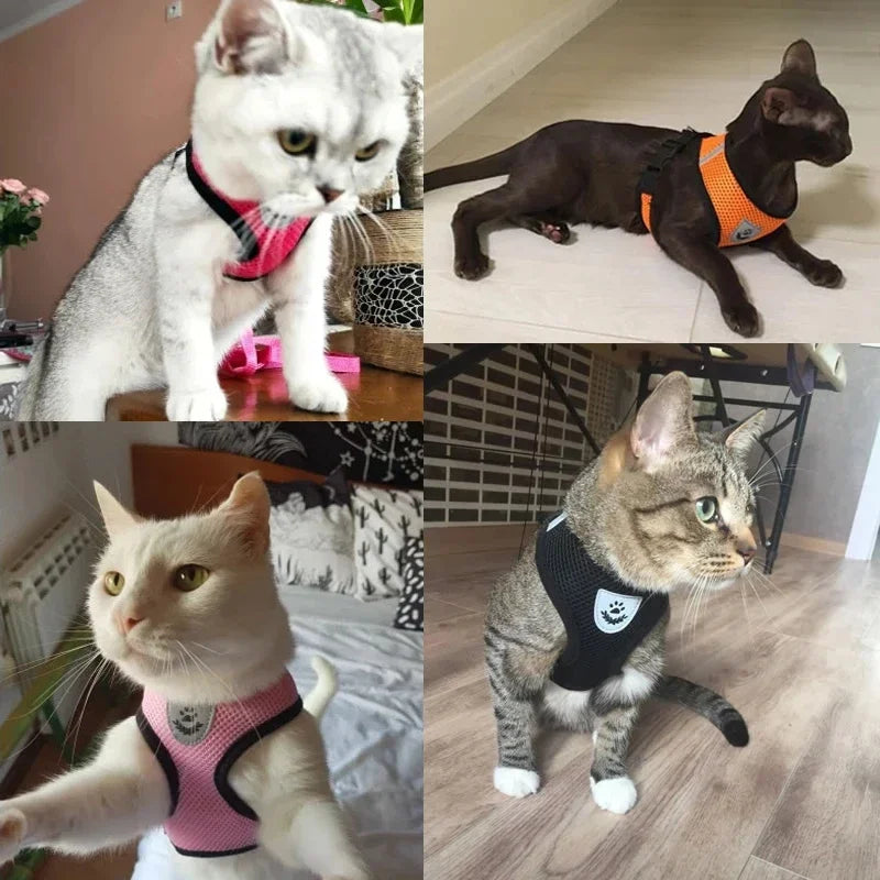 Fantastic Cat Harness with Adjustable Design - DeKove