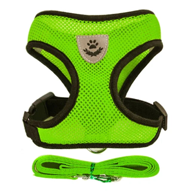 Fantastic Cat Harness with Adjustable Design - DeKove