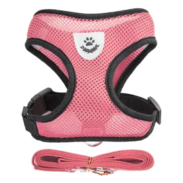 Fantastic Cat Harness with Adjustable Design - DeKove