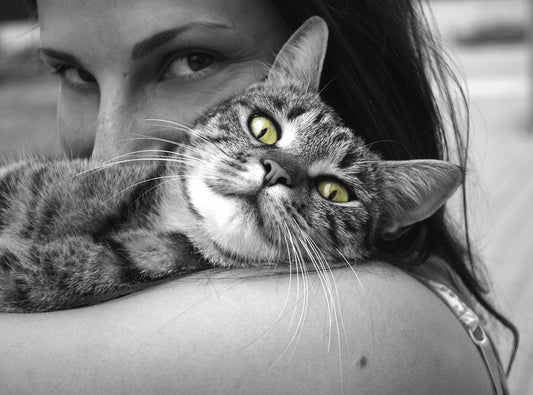 The Hairball Havoc: Navigating the Furry Mess