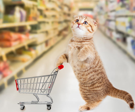 The Purrfect Menu: Finding the Best Cat Food for Kyro and Cleo