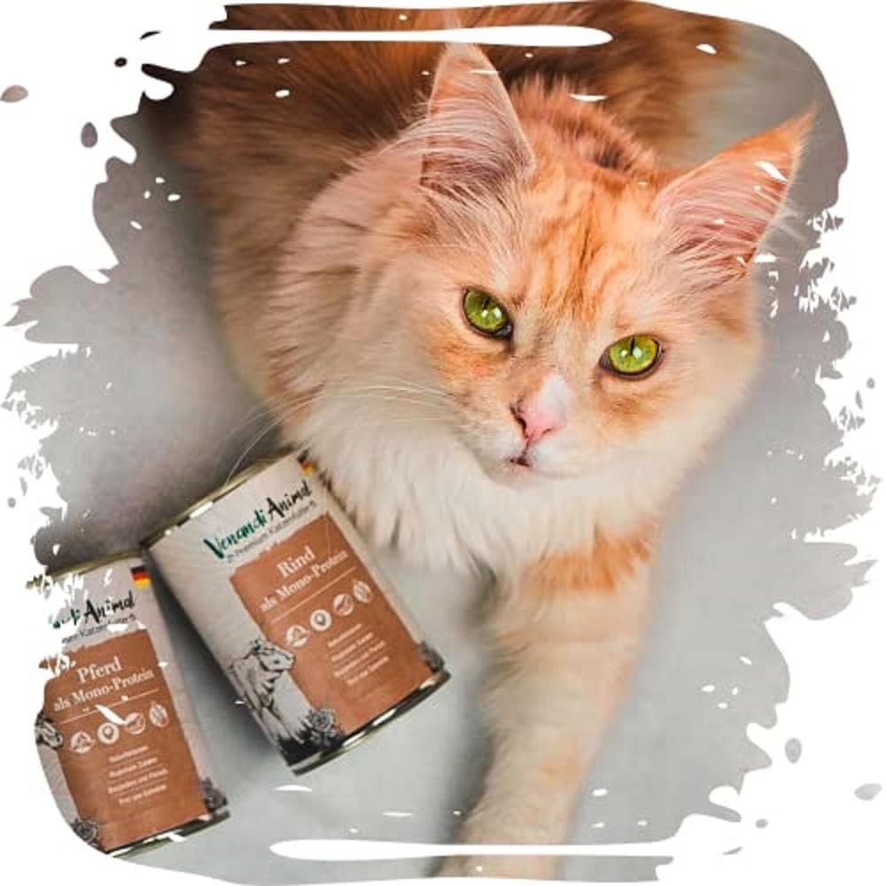 Venandi Animal Premium Cat Food, Horse as Monoprotein, Wet Food, Grain-Free and Natural, Pack of 6 (6 x 200 g) - DeKove