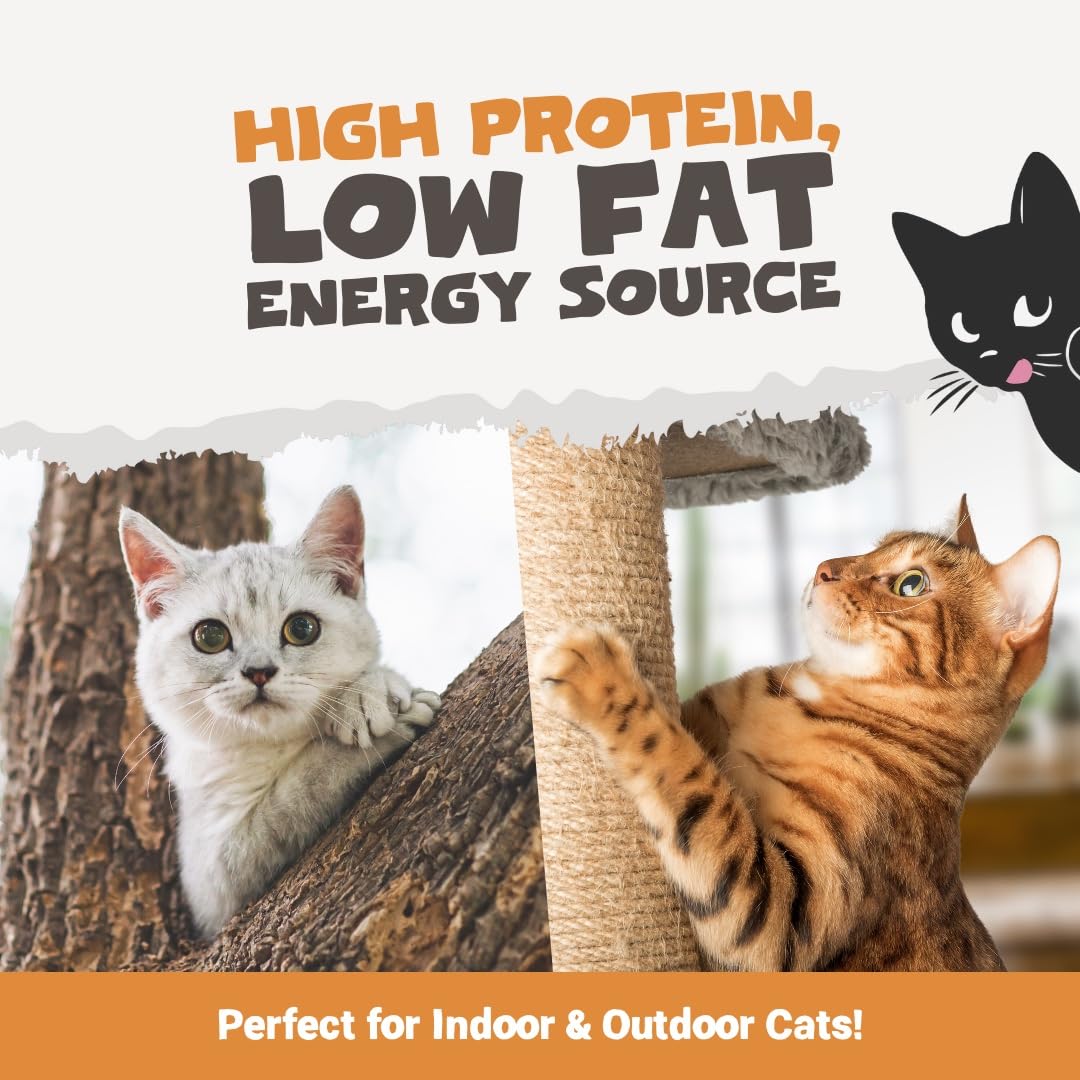 Pets Purest Cat Treats, 100% Chicken Freeze Dried Cat Treats, High Protein - Low Fat Treat for Cats & Kittens 50g - DeKove