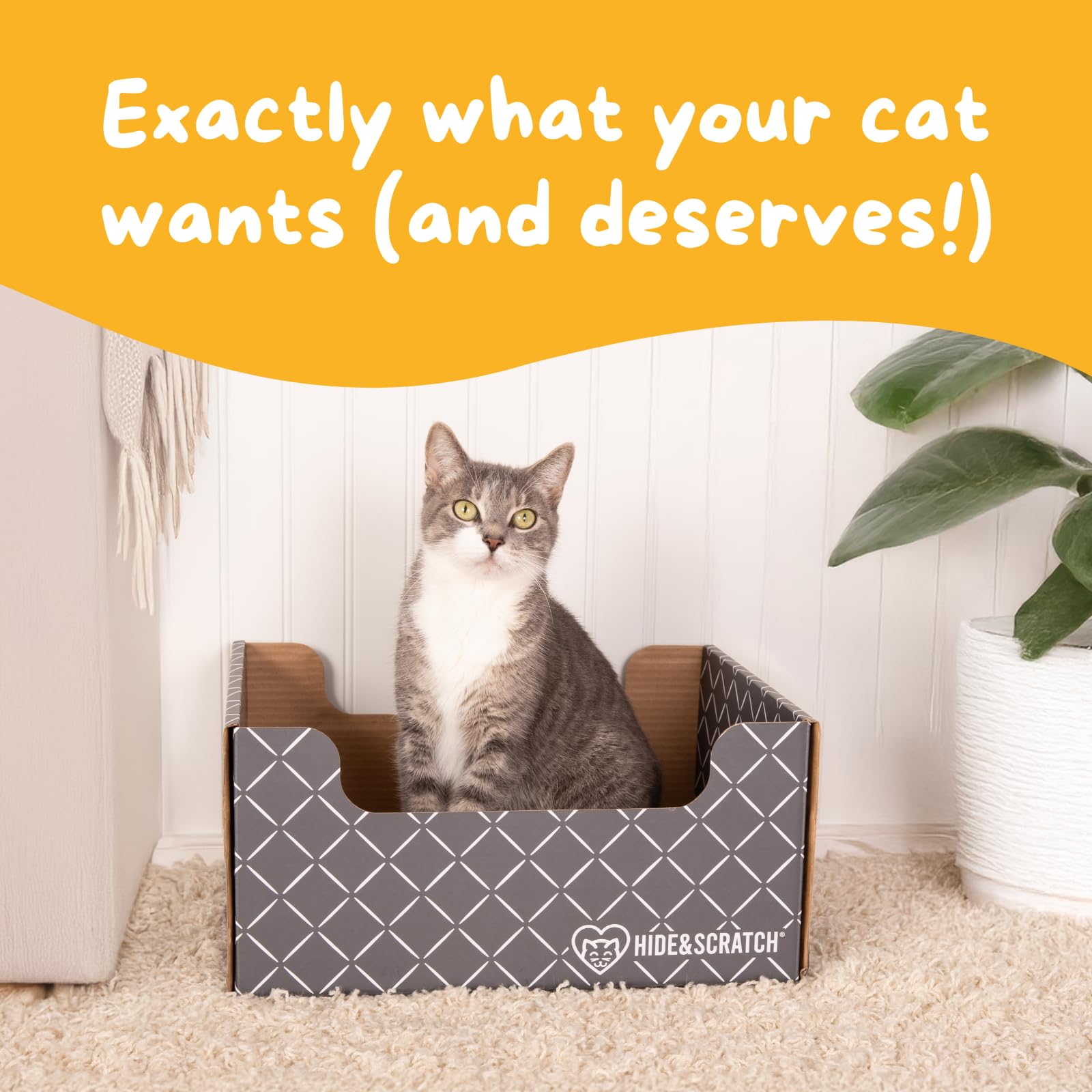 HIDE & SCRATCH Large Cardboard Cat Bed and Scratching Box with Refillable Double-Sided Cardboard Cat Scratching Board (40 x 33cm) - DeKove