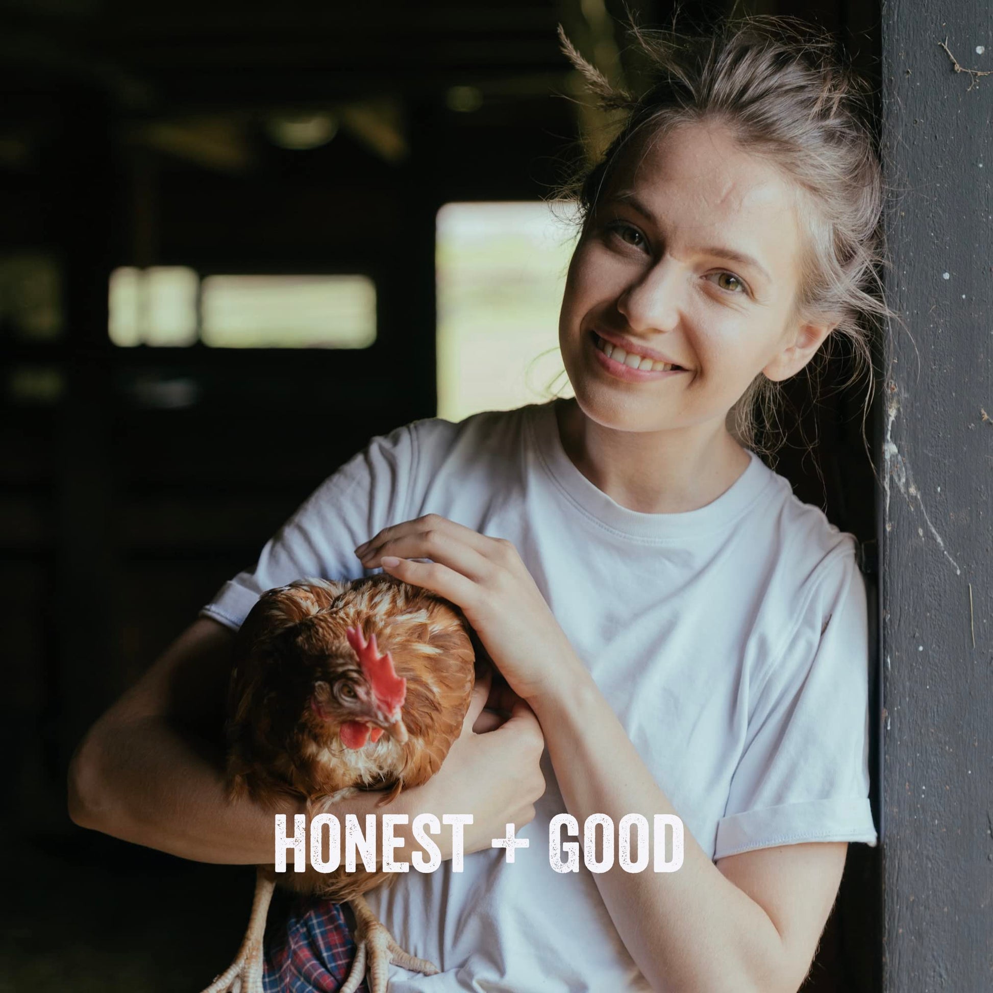 Honest + Good Pets UK's Chicken Bone Broth + Pre-biotic | Hip & Joint, Digestion, Gut for Dogs & Cats | Dog & Cat Bone Broth | High in Type II Collagen & Fibre | 50 Servings 250g - DeKove