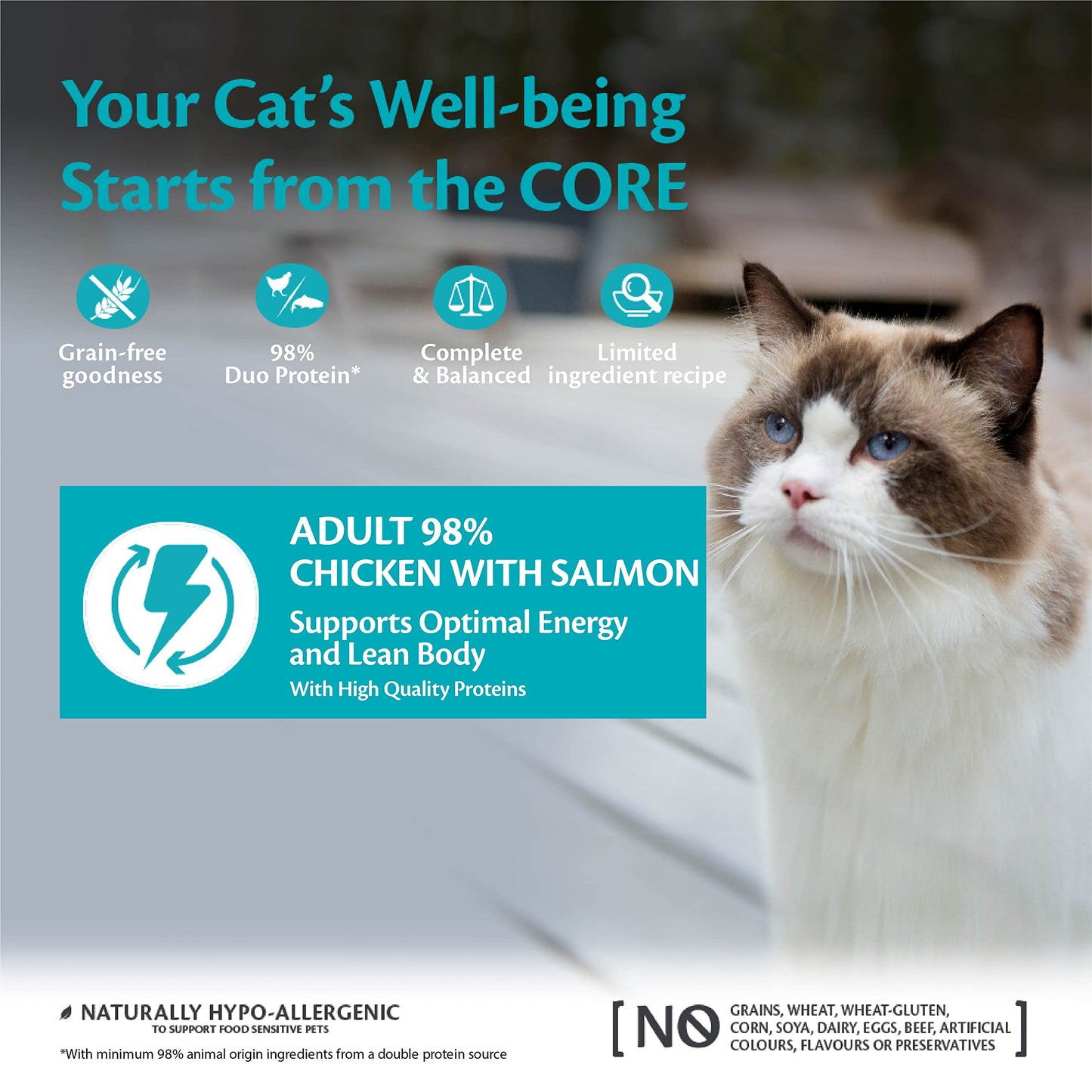 Wellness CORE 98 Percent, 12 x 85g, Chicken & Salmon, Wet Cat Food, Chunky Cat Pate, All-Natural, Grain-Free, High Meat Content, Protein-Rich, Limited Ingredient Recipe - DeKove