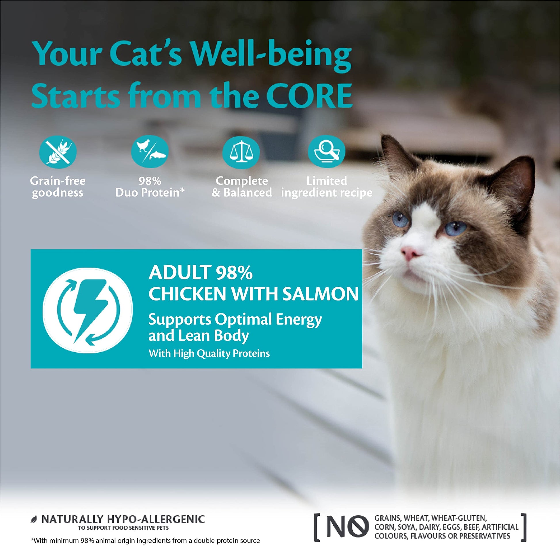Wellness CORE 98 Percent, 12 x 85g, Chicken & Salmon, Wet Cat Food, Chunky Cat Pate, All-Natural, Grain-Free, High Meat Content, Protein-Rich, Limited Ingredient Recipe - DeKove