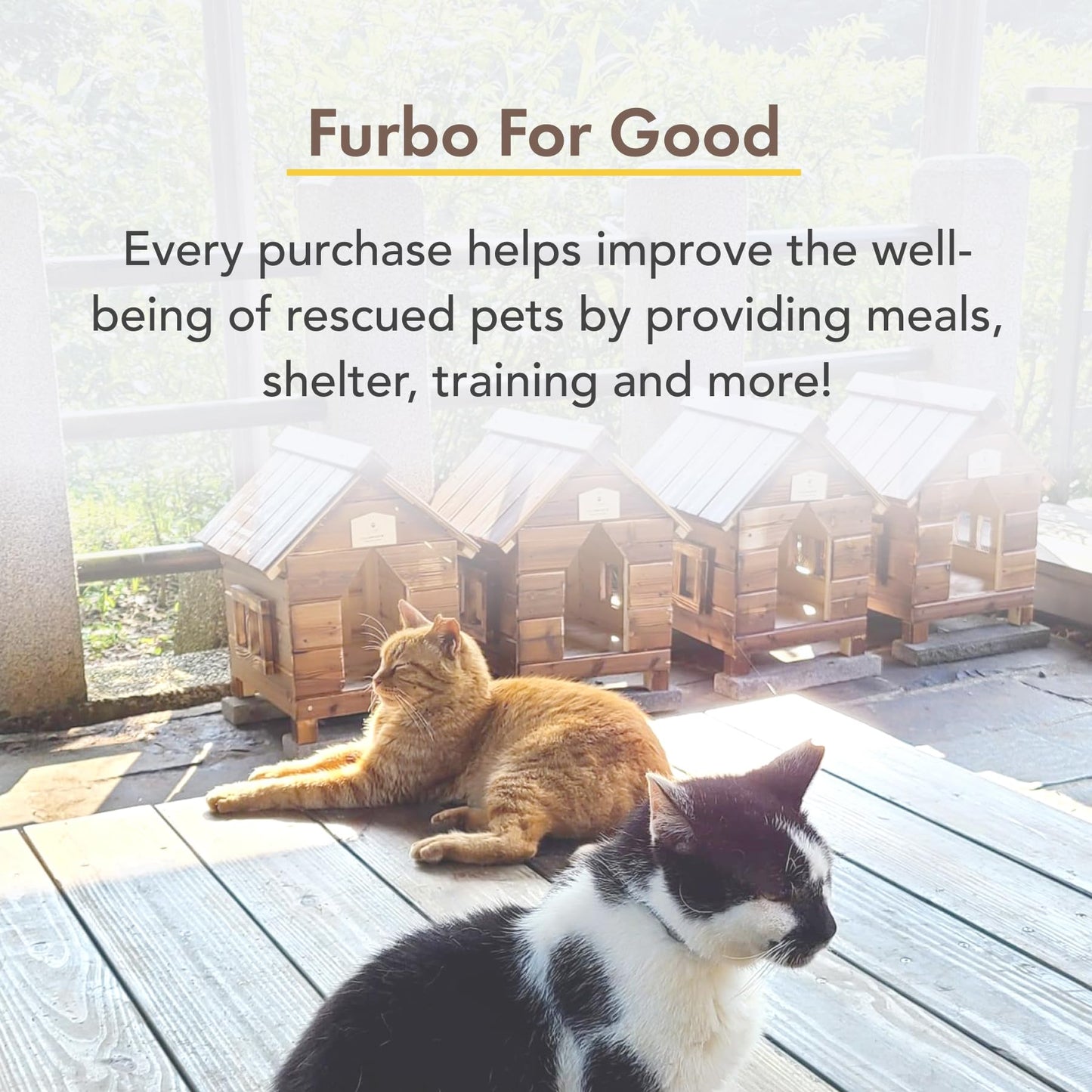 Furbo 360° Cat Camera [BASIC CAMERA]: Pet Monitor w/App, Rotating 360° View, Colour Night Vision, Auto-Tracking, Treat-toss, Meowing Alert. Loved by millions of pet parents worldwide - DeKove