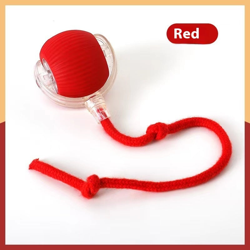 Fun Cat Bite-resistant Toy Ball - DeKove